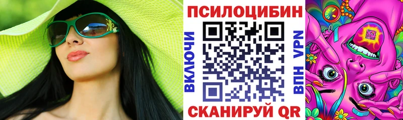 где купить наркоту  Судак  Галлюциногенные грибы MAGIC MUSHROOMS 
